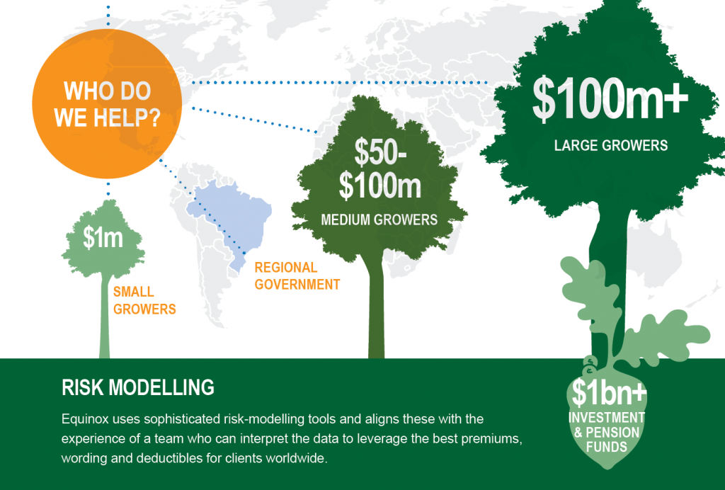 Standing Timber Insurance South Shore Insurance Agency